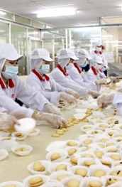 CÔNG TY CỔ PHẦN XNK & CUNG ỨNG NHÂN LỰC NHẬT QUANG NIKKO JSC