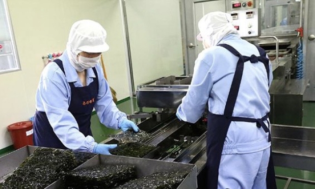 CÔNG TY CỔ PHẦN XNK & CUNG ỨNG NHÂN LỰC NHẬT QUANG NIKKO JSC